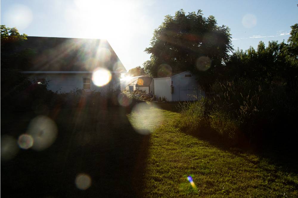 A pristine photo of the SAP with an aesthetic camera flare.